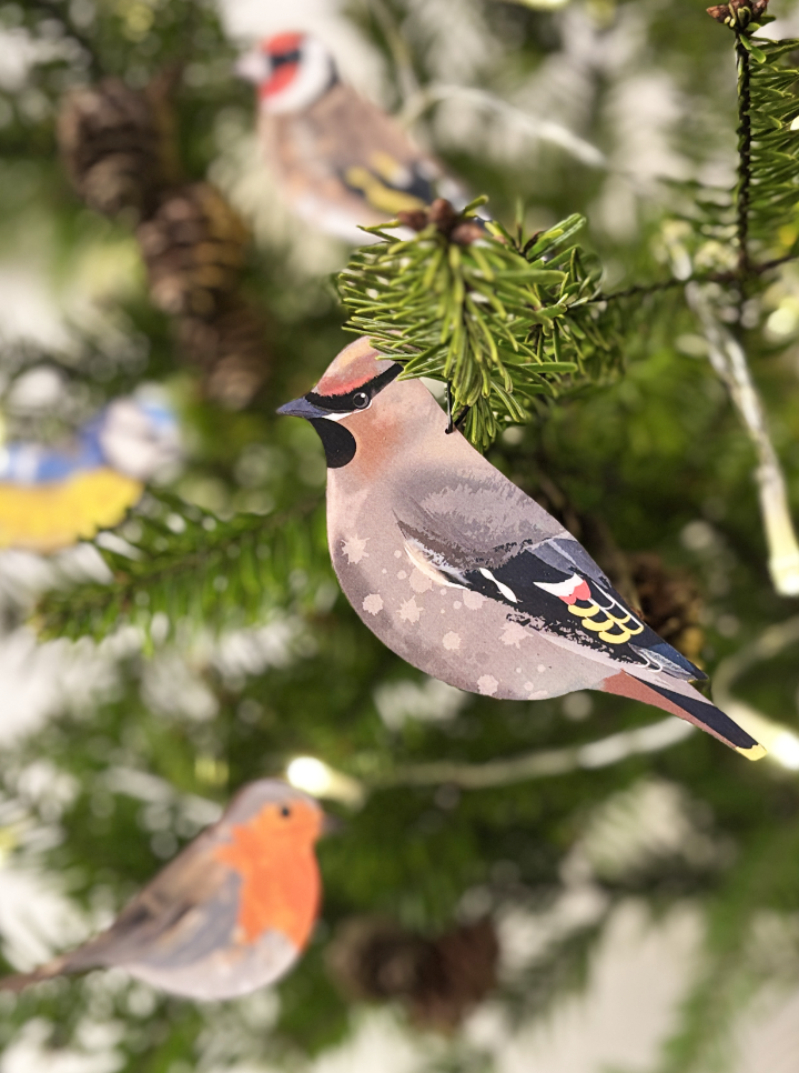 malowane ptaszki - bluble