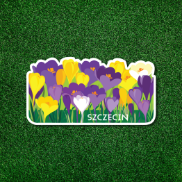 pamiatkowy magnes ze szczecina - krokusy