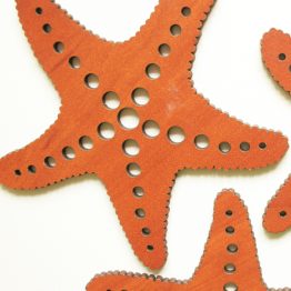 podkładka - rozgwiazda