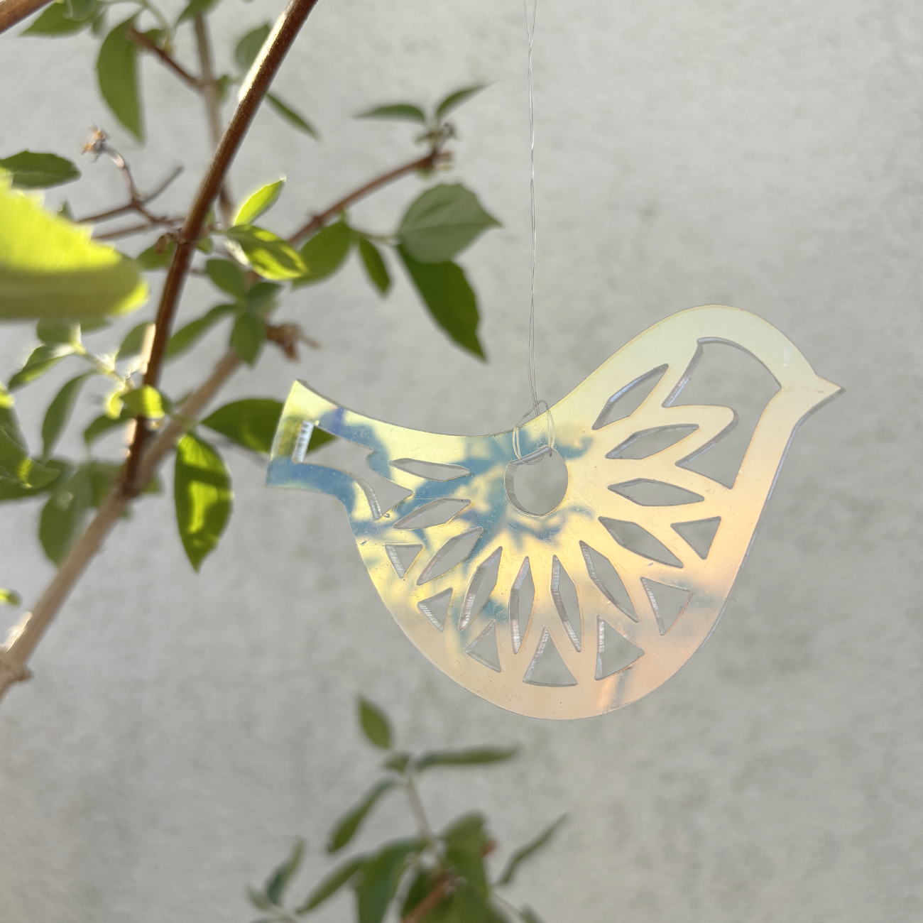 transparent bird - ornament