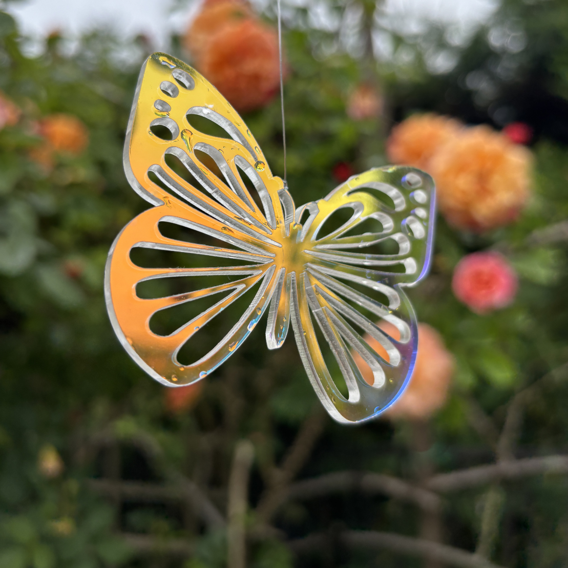 transparent butterfly - bluble.eu