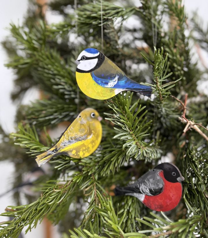 grubiutkie ptaszki - bluble